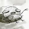 Vida de un piojo llamado Matías (Original nº 1)